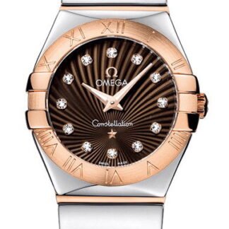 Omega Constellationquartz 24 Mm Brown