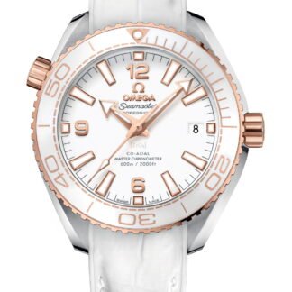 Omega Seamasterplanet Ocean 600Mco-Axial Master Chronometer 39.5 Mm White