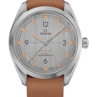Omega Seamasterrailmasterco-Axial Master Chronometer 40 Mm Gray