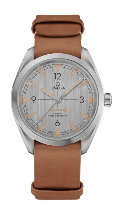 Omega Seamasterrailmasterco-Axial Master Chronometer 40 Mm Gray
